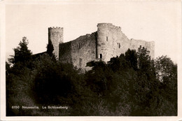 Neuveville - Le Schlossberg (6150) - La Neuveville