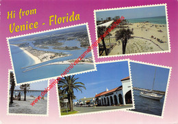 Venice - Florida - United States USA - Venice
