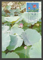 Macau Plantes Médicinales Fleur De Lotus Carte Maximum 1983 Macao Medicinal Plants Lotus Flower Maxicard - Maximumkarten