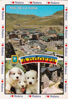 ANDORRA - Chiens Des Pyrénées - Pas De La Case - Andorra