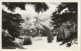 Paradise Inn And Tatoosh Range In Winter, Rainier National Park, Washington - Altri & Non Classificati