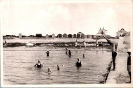 (1 Oø 39) France -  Older B/w - Ile De Ré (plage) Swimmer / Nageurs - Swimming