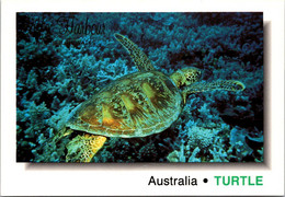 (1 Oø 40) Australia - Tortue De Mer / Sea Turtle - Tortues