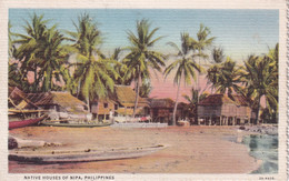 PHILIPPINES(NIPA) ARBRE - Philippines