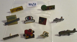 SUPER AFFAIRE A PRIX CASSE !!! LOT 1023 : Lot De 10 Pin's TOUS DIFFERENTS En Très Bon état Mais SANS Les Attaches - Lots