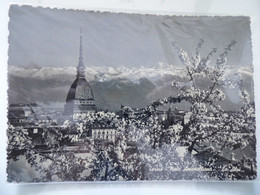 Cartolina Viaggiata "TORINO Mole Antonelliana Le Api" 1951 - Mole Antonelliana