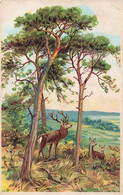 Publicité Farine Lactée Renaux - L'aliment Renaux - Cerf En Forêt - Colorisé - Carte Postale Ancienne - Werbepostkarten