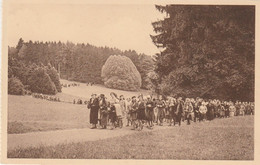 CHATEAU D,ARDENNE PROMENADE DANS LE PARC - Houyet