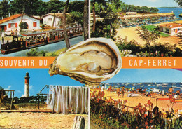 SOUVENIR DU CAP FERRET, MULTIVUE, PETIT TRAIN, PORT DE LA VIGNE, LE, PHARE, LA PLAGE ET UNE HUITRE COULEUR REF 5580 - Saluti Da.../ Gruss Aus...