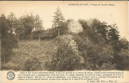 COMBLAIN-au-PONT - Restes De L'Ancien Château - N'a Pas Circulé - Collection : Librairie J. Bellens, Liège - Comblain-au-Pont