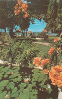 Barbados Exotic Flowers Coral Reef Club 1975 1974 Orchids Slogan Spend The Winter In Sunny - Barbades