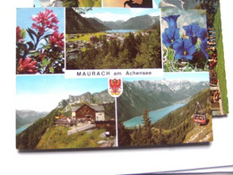 Oostenrijk Österreich Tirol Maurach Am Achensee Schöne Blumen - Achenseeorte