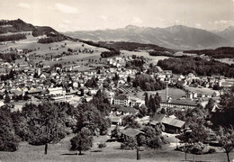 Wald Fliegeraufnahme - Wald