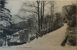 Beaumont // LA Tour Salamandre (Wintertooi) 19?? Ed. L. Duval - Beaumont