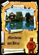 21 MIREBEAU SUR BEZE LE CHALET - Mirebeau