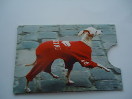 CARD BOX FOR PHONECARDS  DOG DOGS - Cani