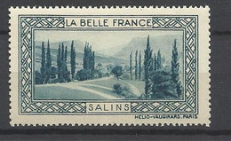 France  Vignette La Belle France    Salins      Neuf     *  *    B / TB      Voir Scans    Soldes ! ! ! - Turismo (Vignette)