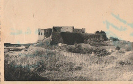 ILE DE CHAUSSEY  - Le Chateau.  Carte Rare - Andere & Zonder Classificatie