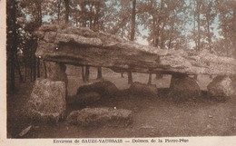 Environs De SAUZE-VAUSSAIS. - Dolmen De La Pierre-Pèze - Dolmen & Menhirs