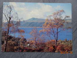 LOCH NESS FROM INVERFARIGAIG - Inverness-shire