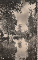 COULONGES-sur-L'AUTIZE. - Les Bords De L'Autize. CPSM RARE - Coulonges-sur-l'Autize