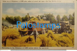 200258 BOLIVIA LA PAZ COSTUMES WORKING HARVESTING IN THE ANTIPLANO POSTAL POSTCARD - Bolivie