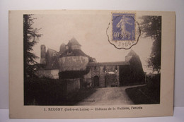 REUGNY    - Chateau De La Valliére , L'entrée - Reugny