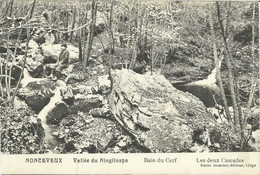 NONCEVEUX - Vallée Du Ninglinspo - Bain Du Cerf - N'a Pas Circulé - Aywaille
