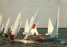 CPSM Les Finn En Régate-Voile      L2037 - Sailing