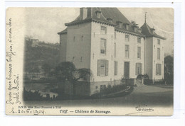 Tilff Château De Sauvage DVD No 9554 - Esneux