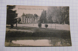 D 45 - Chatillon Coligny - Château De Mivoisin - Chatillon Coligny