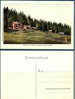 Romania HOHE RINNE Paltini Local Post Sibiu Hermannstadt Postcard/2 - Autres & Non Classés