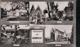 Cpsm 37 Souvenir De Genillé - Genillé