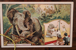 1910's Cpa Ak Souvenir De La Belle Jardinière Paris éléphant Illustrateur Enfants Cirque - Publicité