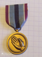 MEDAILLE USA, US ARMY HUMANITARIAN SERVICE , HUMANITAIRE - Etats-Unis