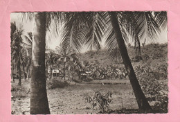 GUADELOUPE - ST / SAINT MARTIN MARIGOT - VIEUX HABITANTS - - Saint Martin