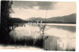 Ticino Lago Di Muzzano - Muzzano