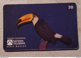 BRAZIL USED PHONECARD MUSEUM ANIMAL TUCANO - Brasilien