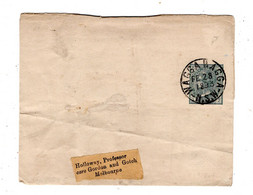 1893 ,1/2 P.complete  Wrapper , Commercial Used Stationary , Very Clear " WAGGAWAGGA-NSW " - Brieven En Documenten