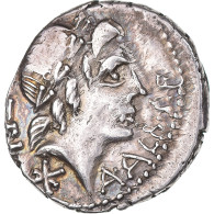 Monnaie, Rome Antique, République Romaine (509 -  27 Av. J.-C), C. Poblicius - République (-280 à -27)