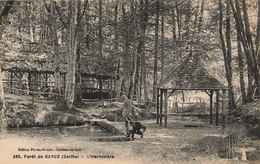 Jupilles * La Forêt De Bercé * L'hermitière * Promeneurs - Autres & Non Classés