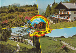 Austria - 6384 Waidring - Alpengasthof Steinplatte - Waidring