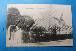 Tremelo   Molenhoek Windmolen Moulin A Vent. Verzonden 1906 - Tremelo