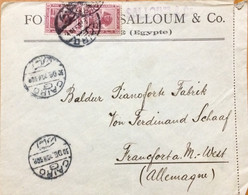 EGYPT 1920, SALLOUM & CO, ADVERTISEMENT, COVER USED TO GERMANY,  PRIVATE FIRM, SPHINX 2 STAMPS, CAIRO CITY CANCEL - 1915-1921 Protectorat Britannique