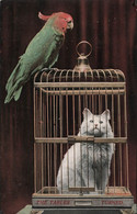 Fantaisie - Animaux - Chat Dans Une Cage Et Perroquet - The Table Turned - Carte Postale Ancienne - Other & Unclassified