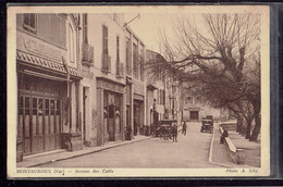 CPA 83 - MONTAUROUX - AVENUE DES CAFES - Montauroux