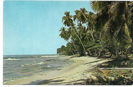 L120D1061 - Costa Rica - Playas De La Isla Uvita - Costa Rica