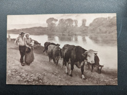 SALONS DE PARIS DEBAT PONSAN TROUPEAU DE VACHES  FERMIER FERMIERE ENFANT - Objets D'art