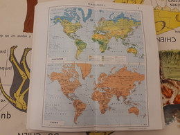 CARTE LIBRAIRIE ARISTIDE QUILLET  VERS 1920 N° 7 PLANISPHERE VEGETATION FAUNE - Geographical Maps