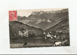 THEYS (ISERE) 5017 ALT 615 M CARTE PHOTO VUE GENERALE AU FOND LE PLATEAU DES PETITES ROCHES (VACHES BROUTANT) - Theys